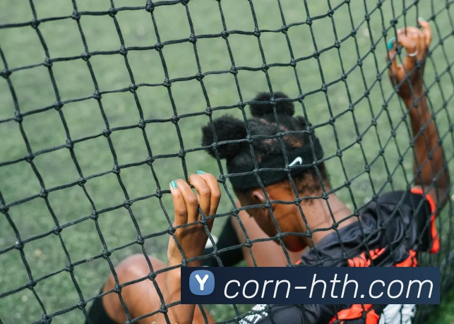 华体会平台生态图